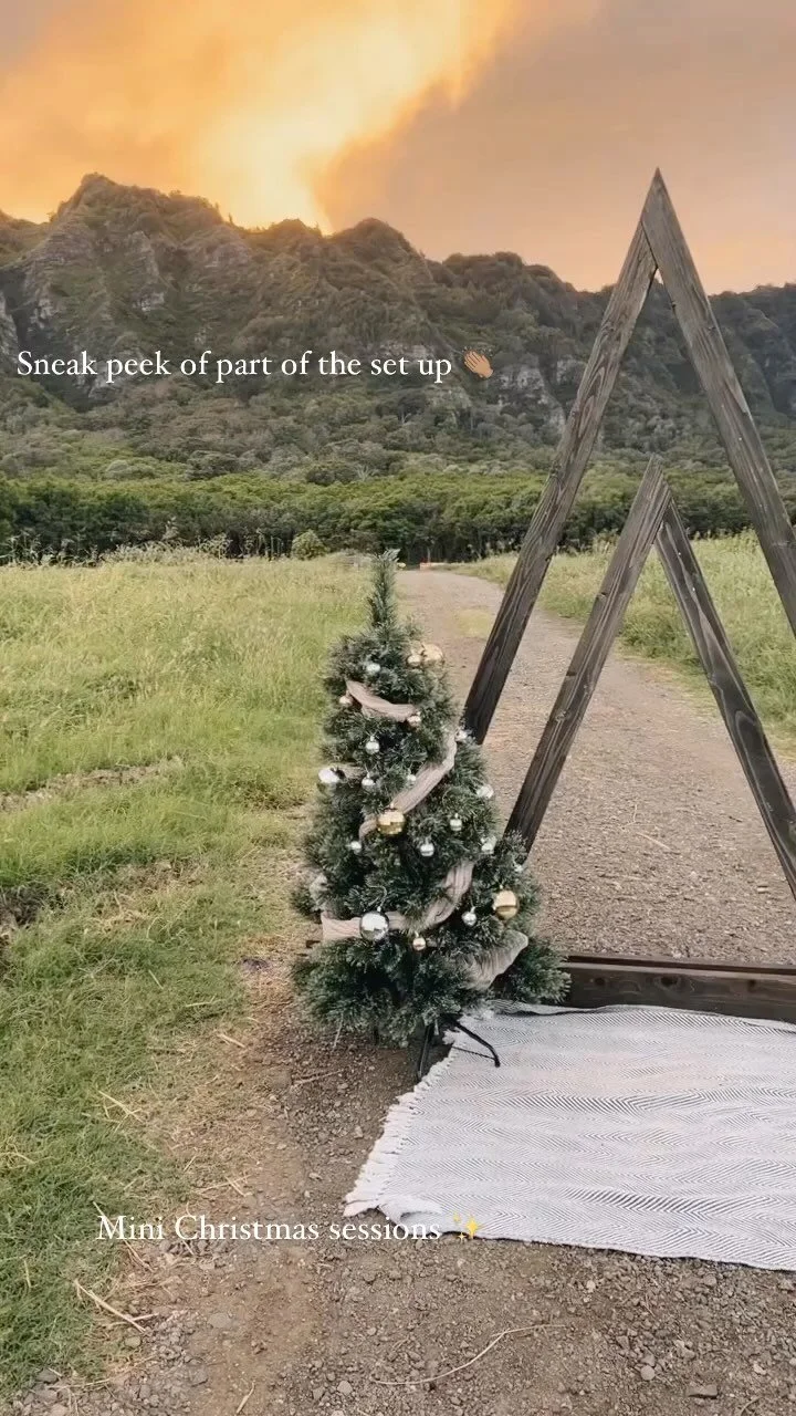 HOME — Waimanalo Country Farms