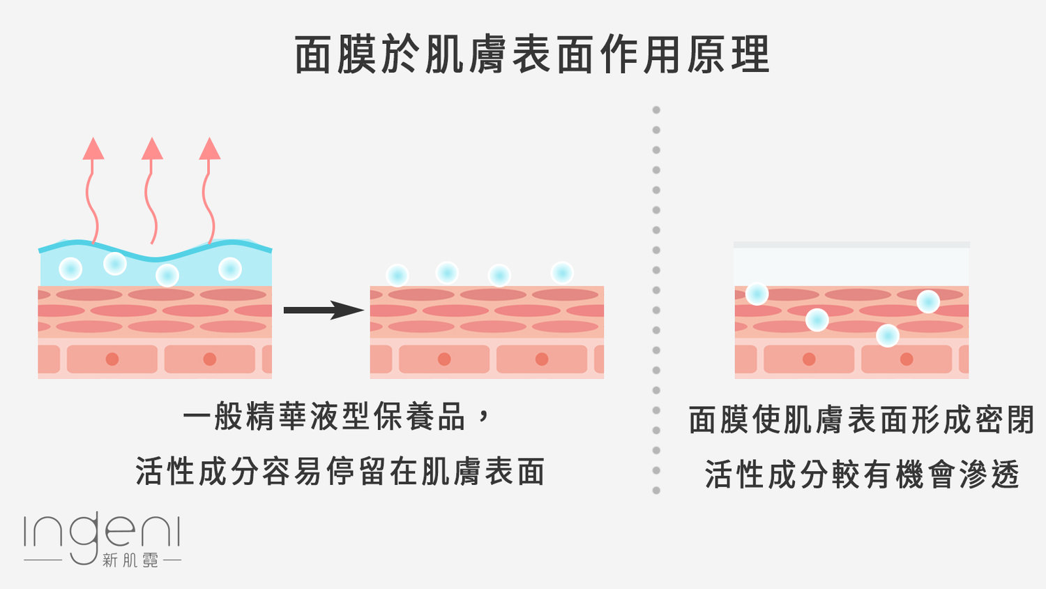 面膜作用原理.jpg