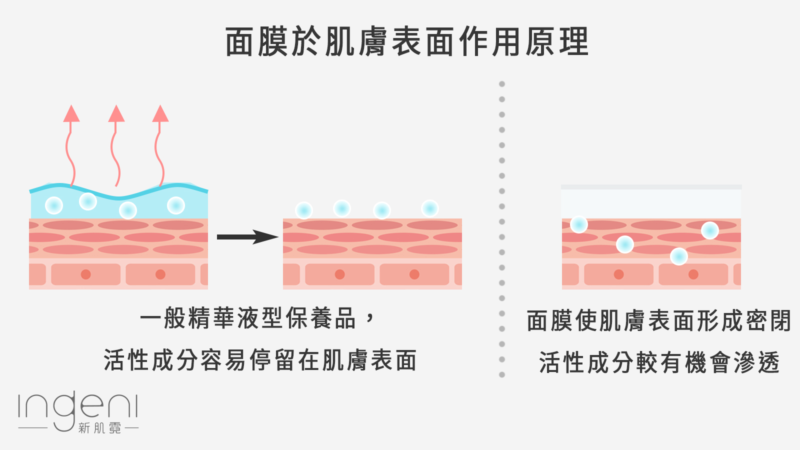 面膜作用原理.jpg
