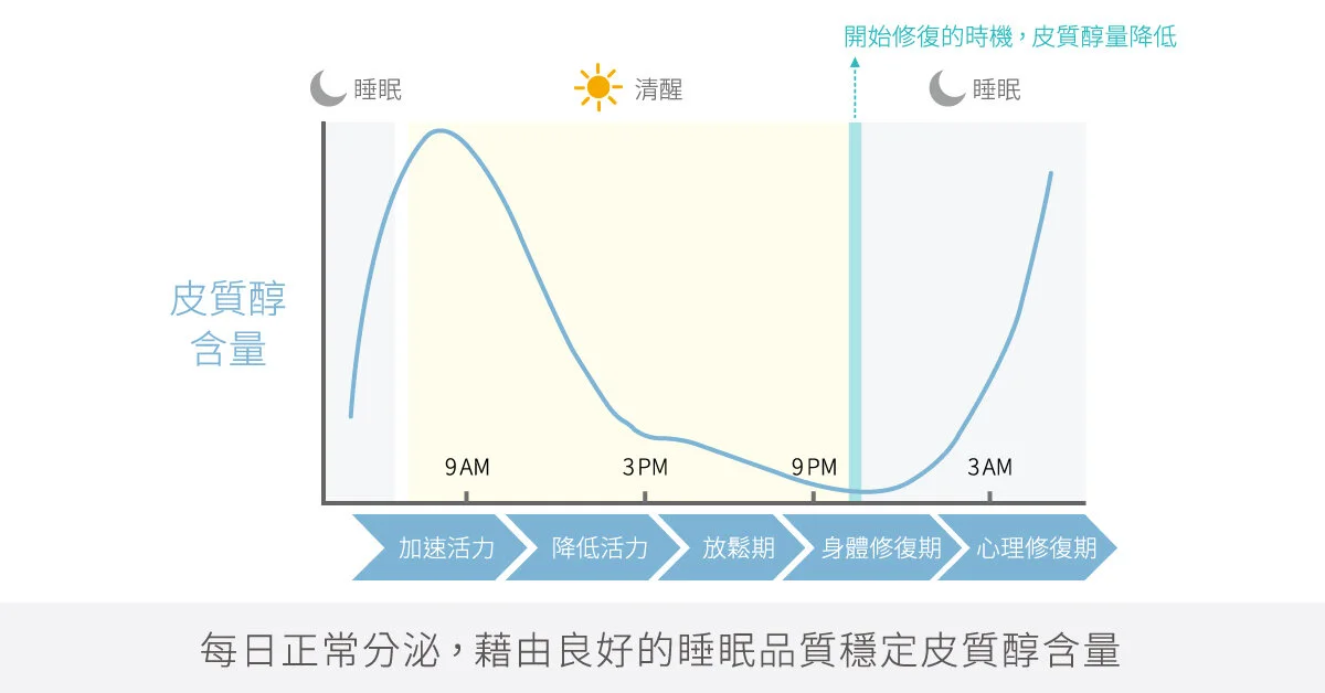 皮質醇分泌時間圖