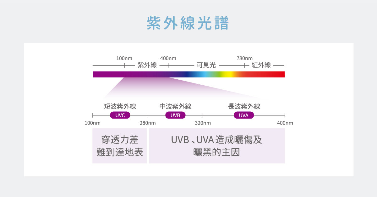 曬傷-紫外線光譜(UVB、UVA)