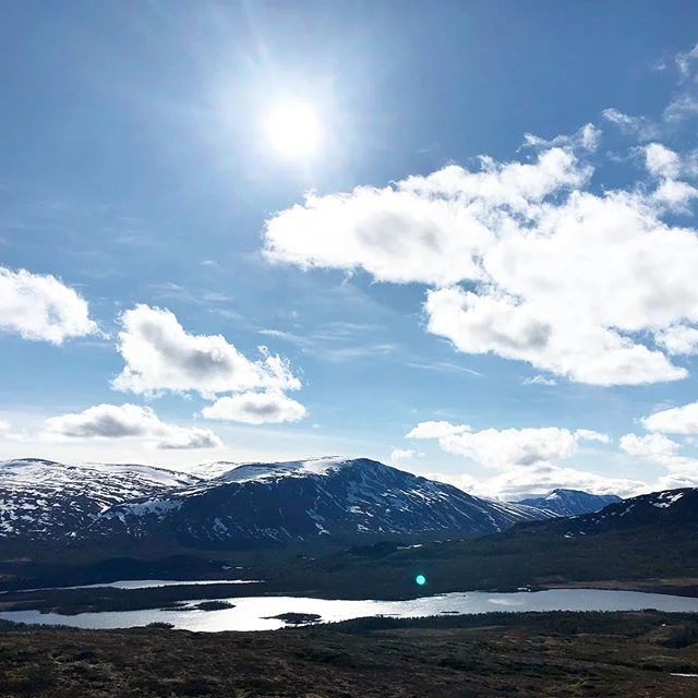 Snøen ligger fortsatt på toppen av Gråkampen💠💙 🏔
Bildet tatt på vei opp #grønsennknippa
31.05.19
-
#gomobu #gomobufjellstue #visitvaldres #visitnorway #visitvaset #vaset #valdres #norway #liveterbestute #kvikklunsj