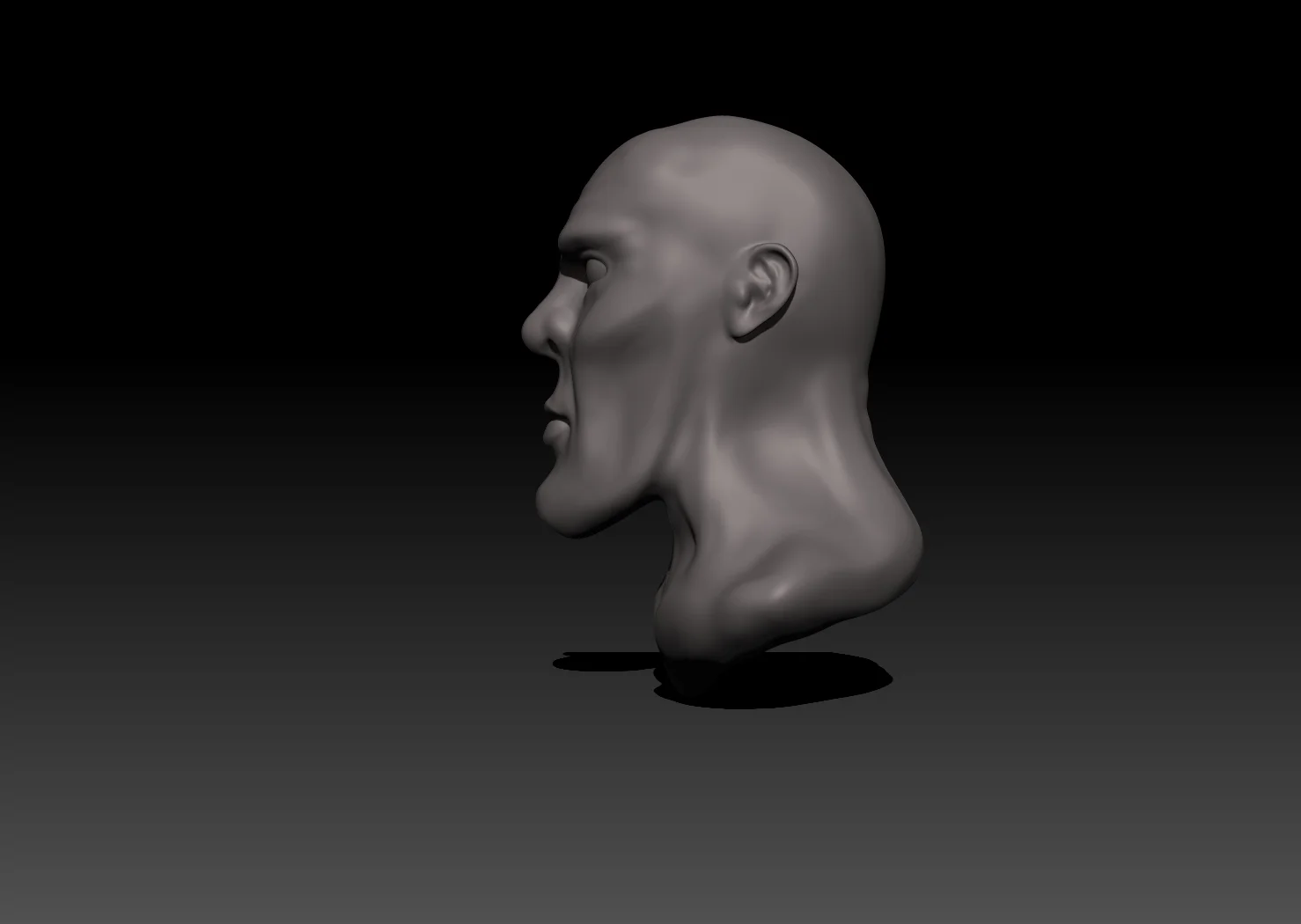 3D SCULPT BUST
