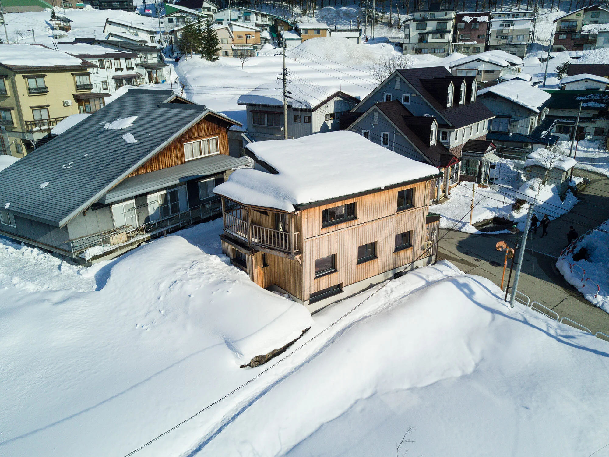 Tamanegi-From-Above.jpeg