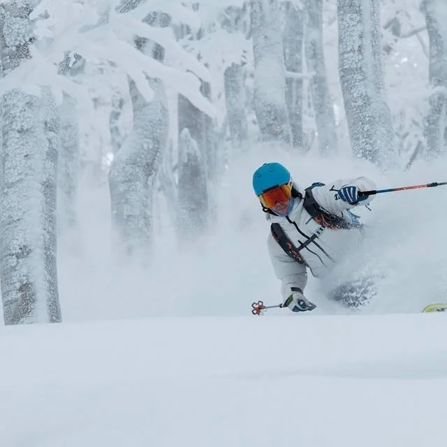 Going deep in Nozawa Onsen this year? Weather predictions are looking good for Japan and it looks like we are in for another big one. La Ni&ntilde;a weather pattern is predicted for the upcoming winter season which could bring lots of cold air, snow 