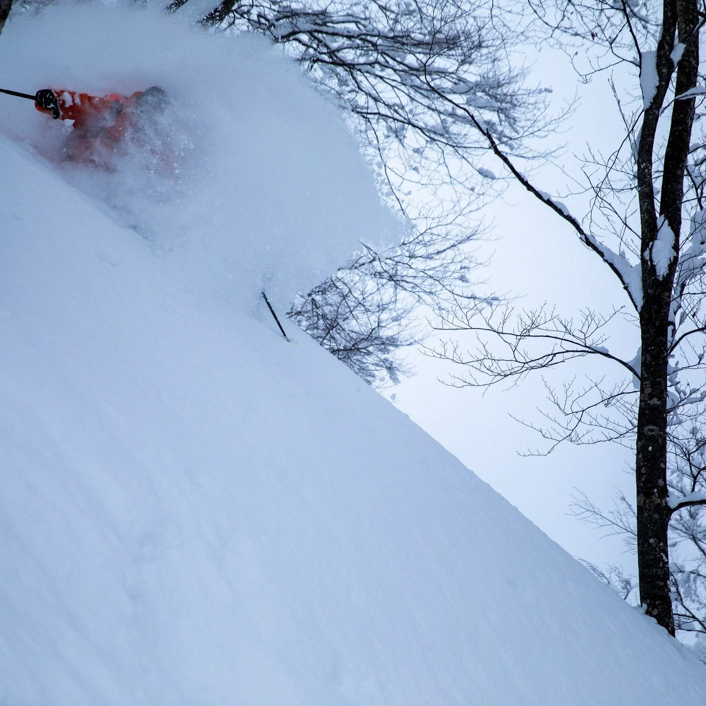 ✨ Back to powder days, face shots, and that magical winter wonderland feeling soon in Nozawa Onsen ❄️🏔️ The countdown is on, and we still have a few last-minute accommodation spots open!

If you haven&rsquo;t locked in your dates yet, now&rsquo;s th