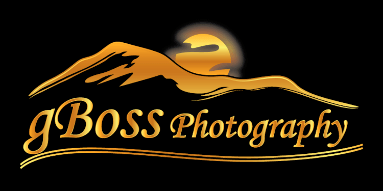 gBoss photography