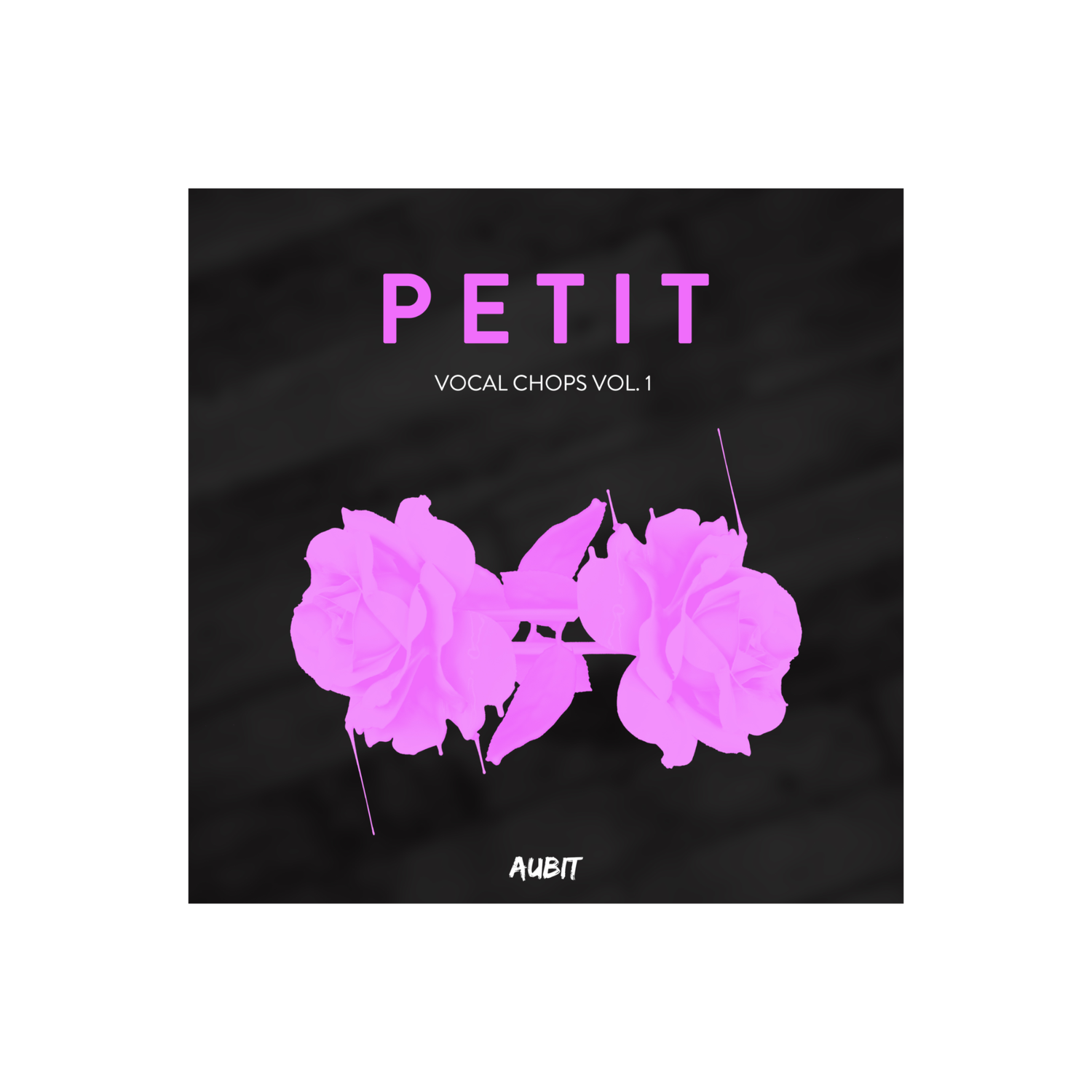Petit Vocal Chops Vol. 1 — Aubit Sound