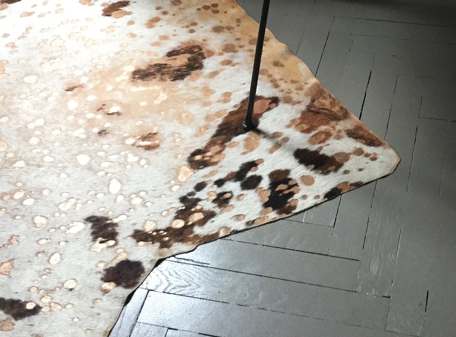 CASA SAN VITTORE CU RUG.jpg