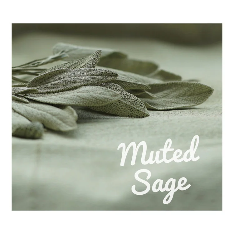 Muted+Sagr.jpg