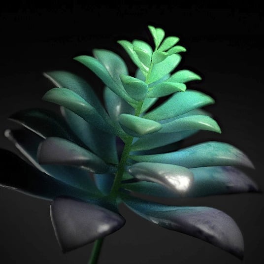Bringing the outdoors in. Procedural modeling of succulents leaves me trying to get friendly with subsurface shading. Want to get those leaves looking as juicy as possible.