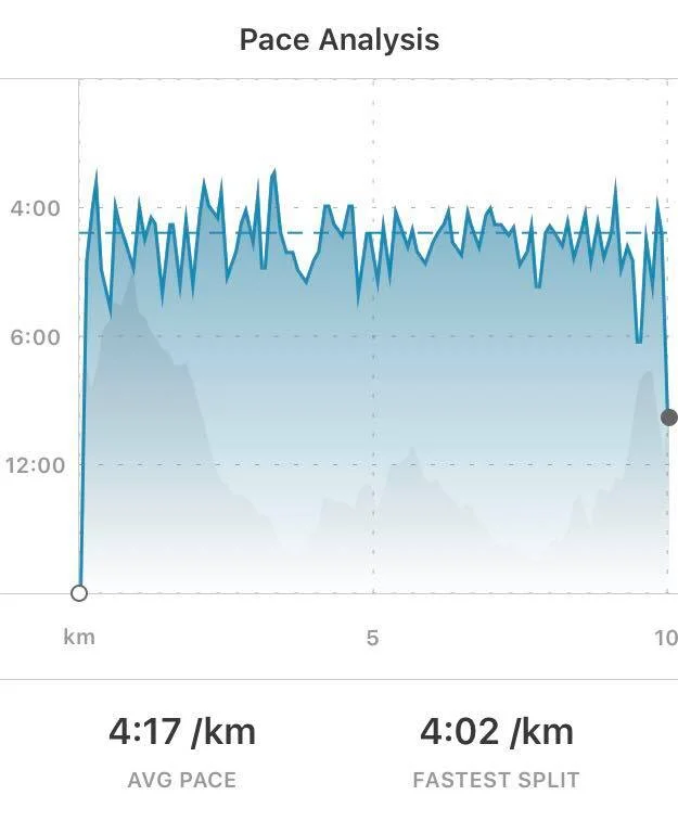 Donate to the Irish Guide Dogs for the Blind by following this link https://give.everydayhero.com/ie/heroguidedogs