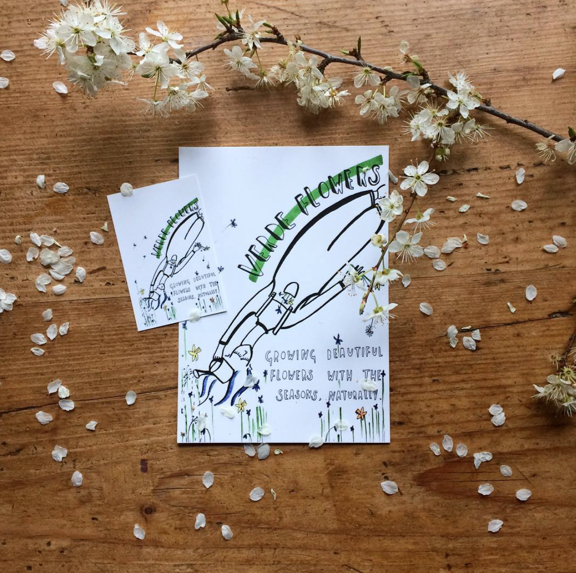 VERDE FLOWERS | Spring 2017