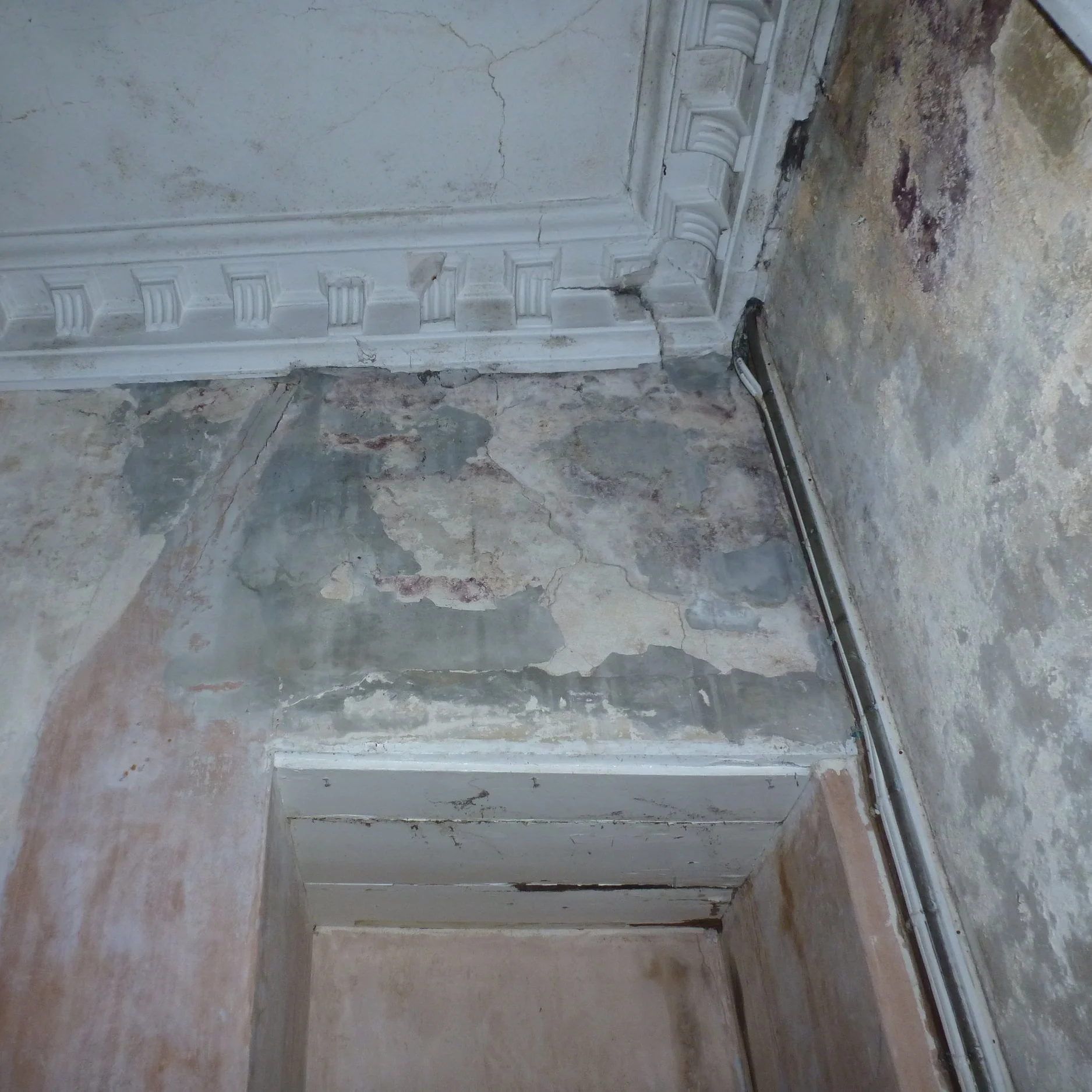Damp - failure of wall, ceiling and cornice