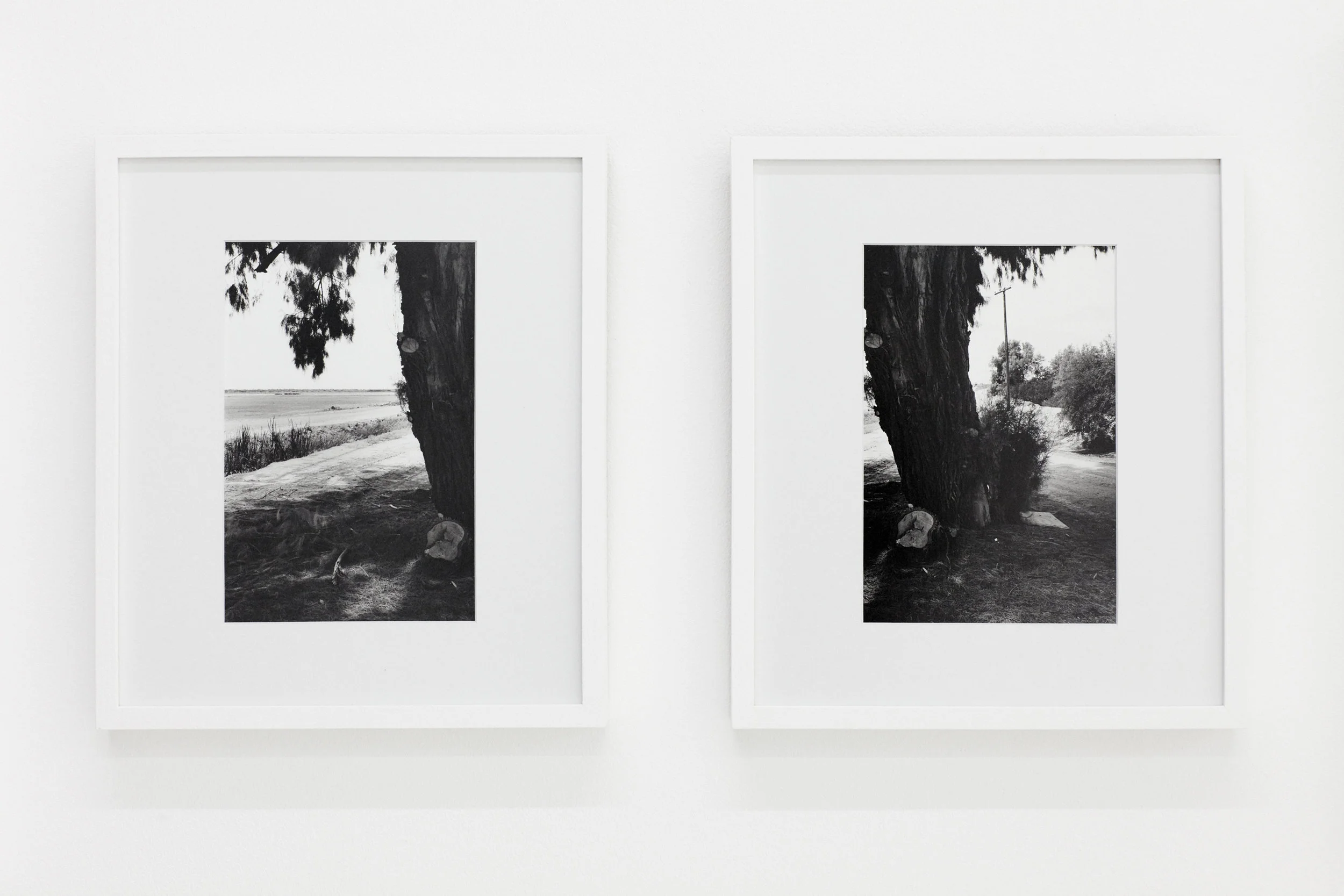 62, California, (2017) Diptych Two Fiber Based Silver gelatin prints. Framed 270 x 305mm Edition of 2 © Jack Whitefield