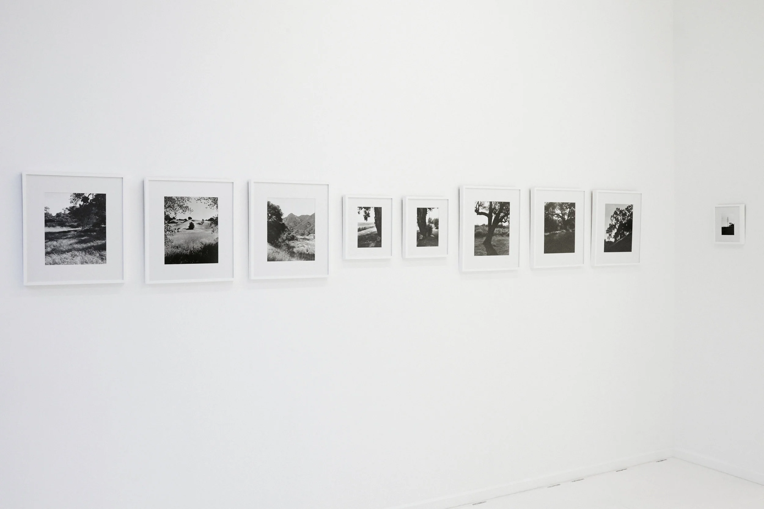 Instalation view From TERRAIN © Golborne Gallery