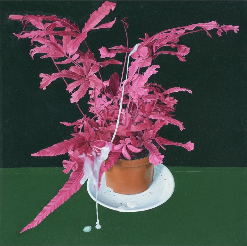 Tristan Pigott 'Misfired Shot at Nature Morte' 2016, Oil on Linen 20x 20cm 