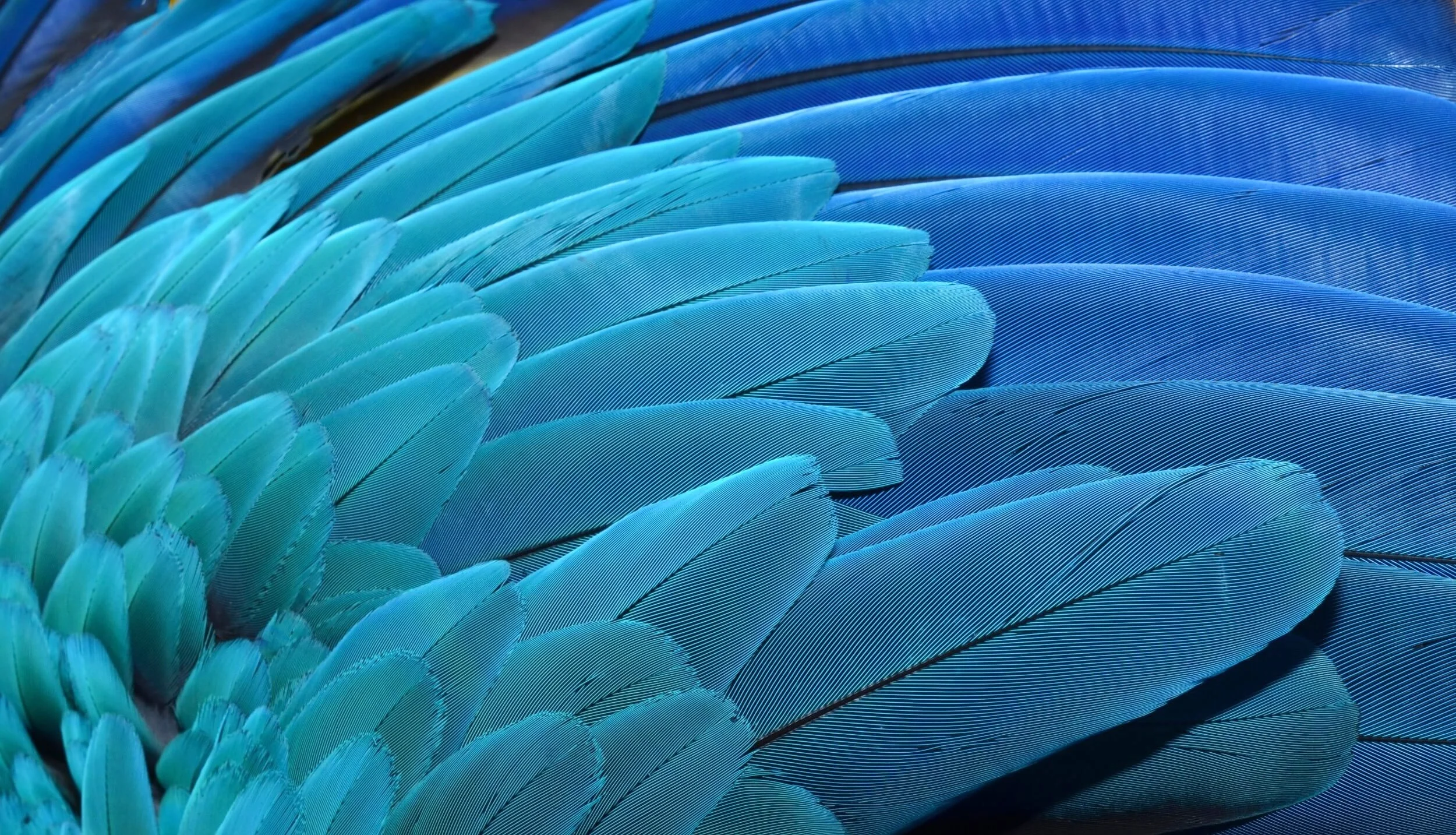 AdobeStock_74657163 - Edited.jpg