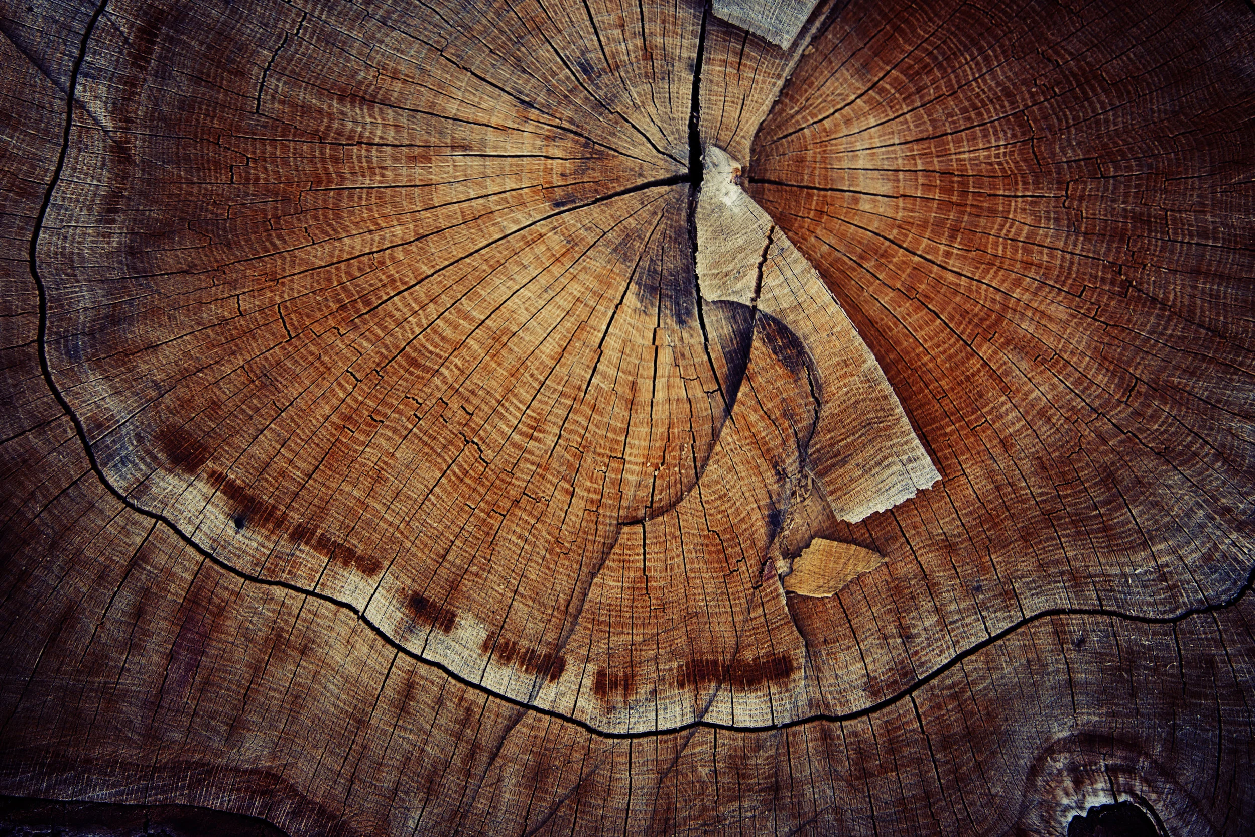 AdobeStock_95959962.jpeg