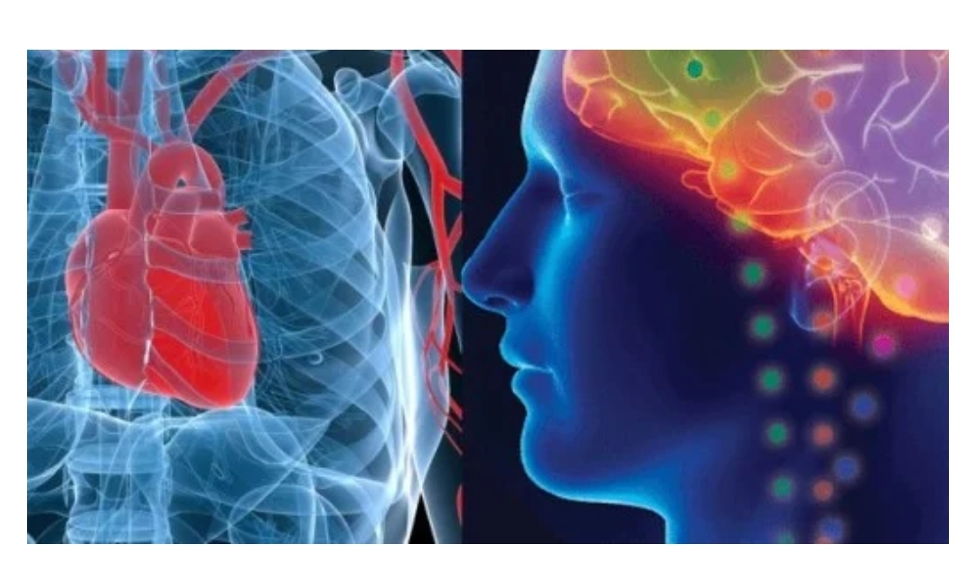 The Neuroscience of Change
