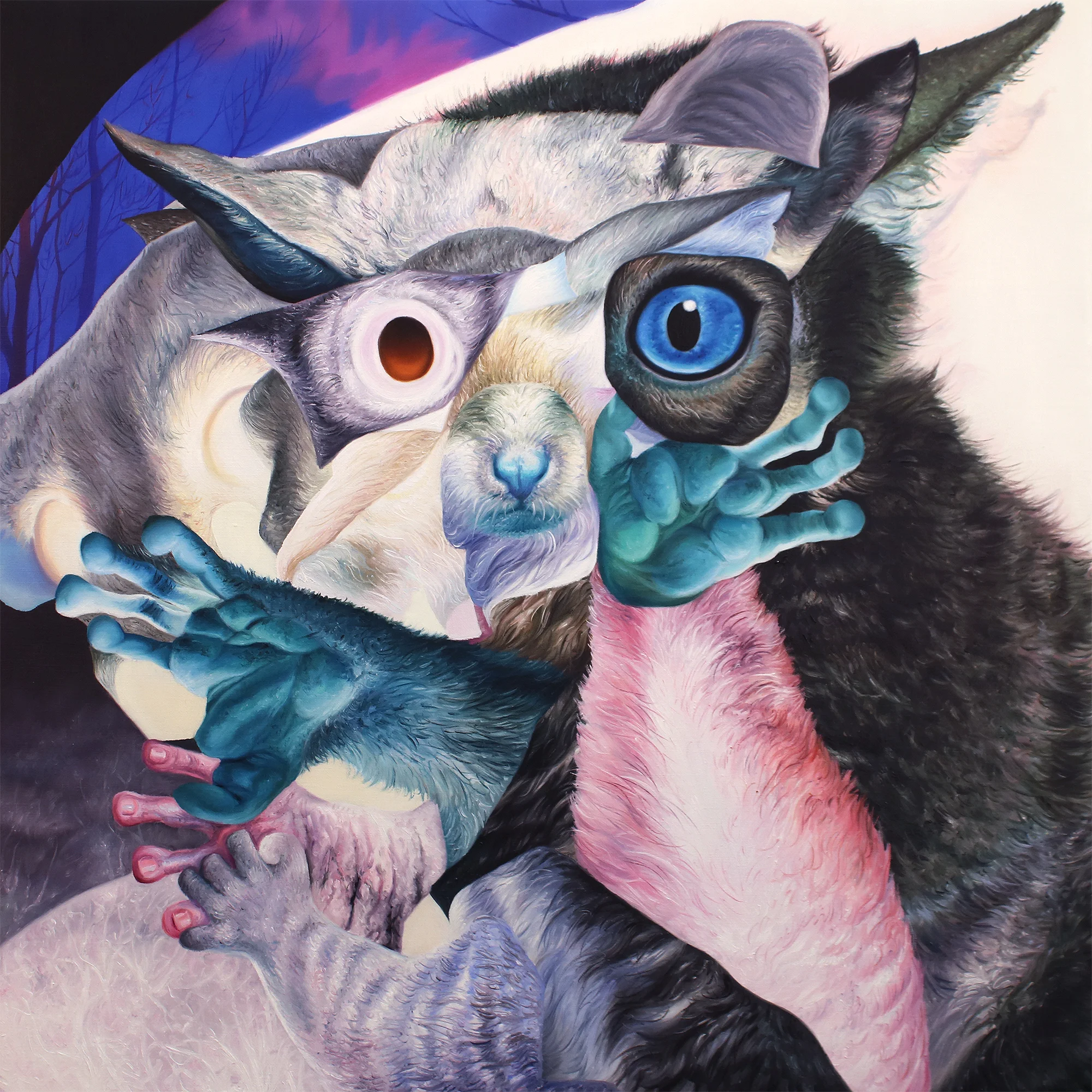 Galago