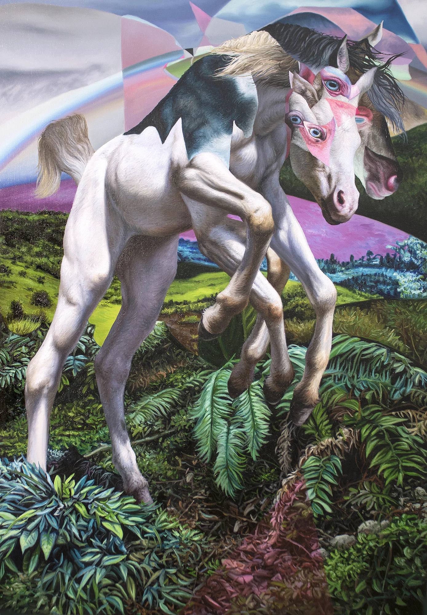 Foal