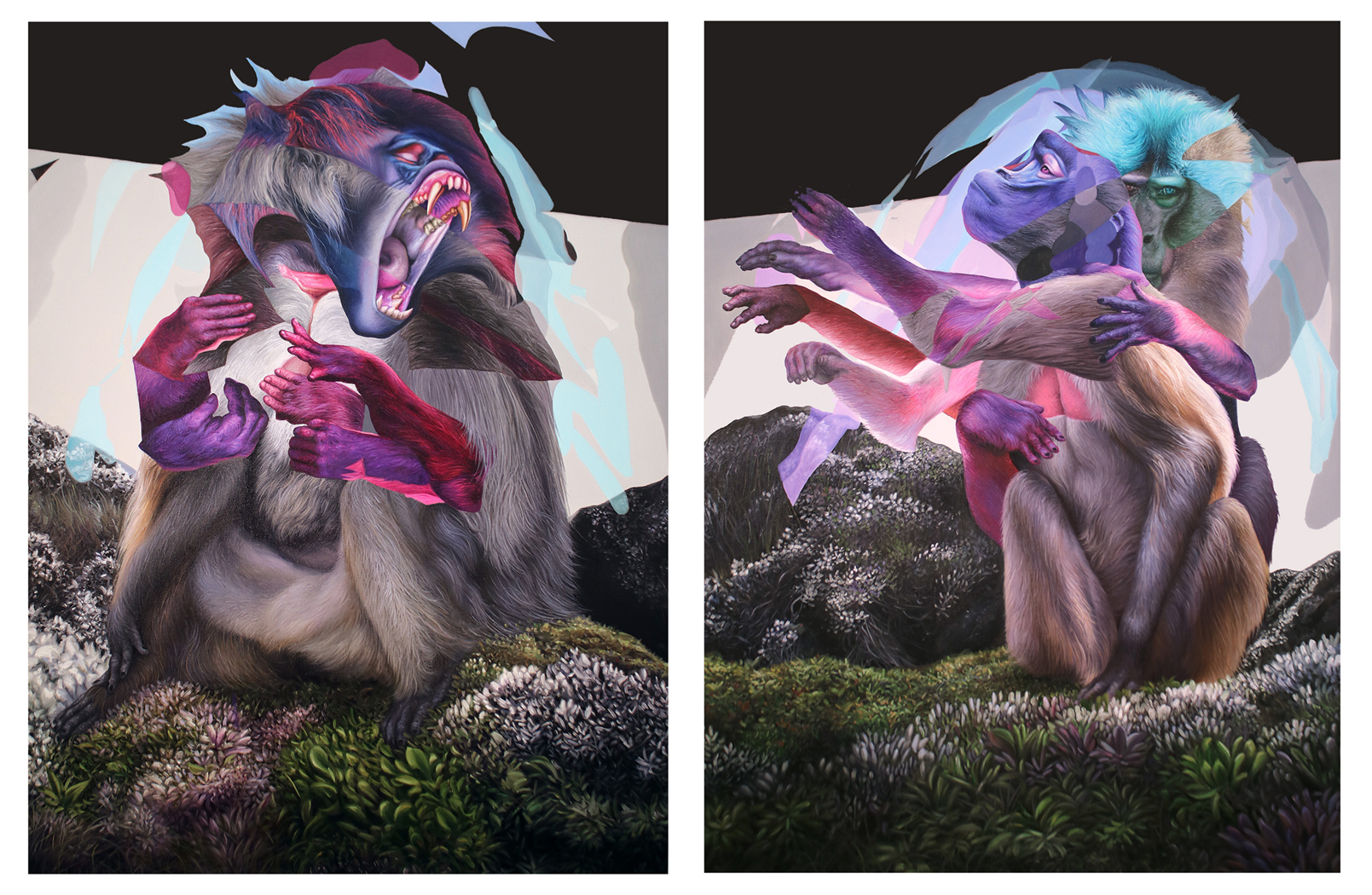 Gelada (Diptych)