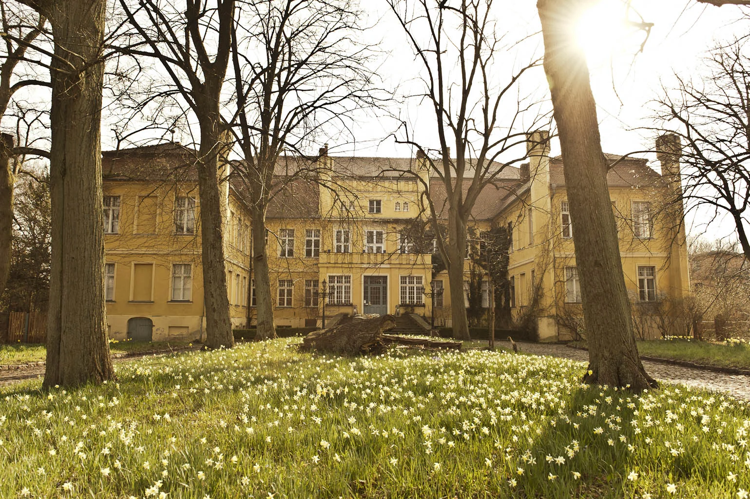 Our salon festival at the Schloss Wartin in Germany