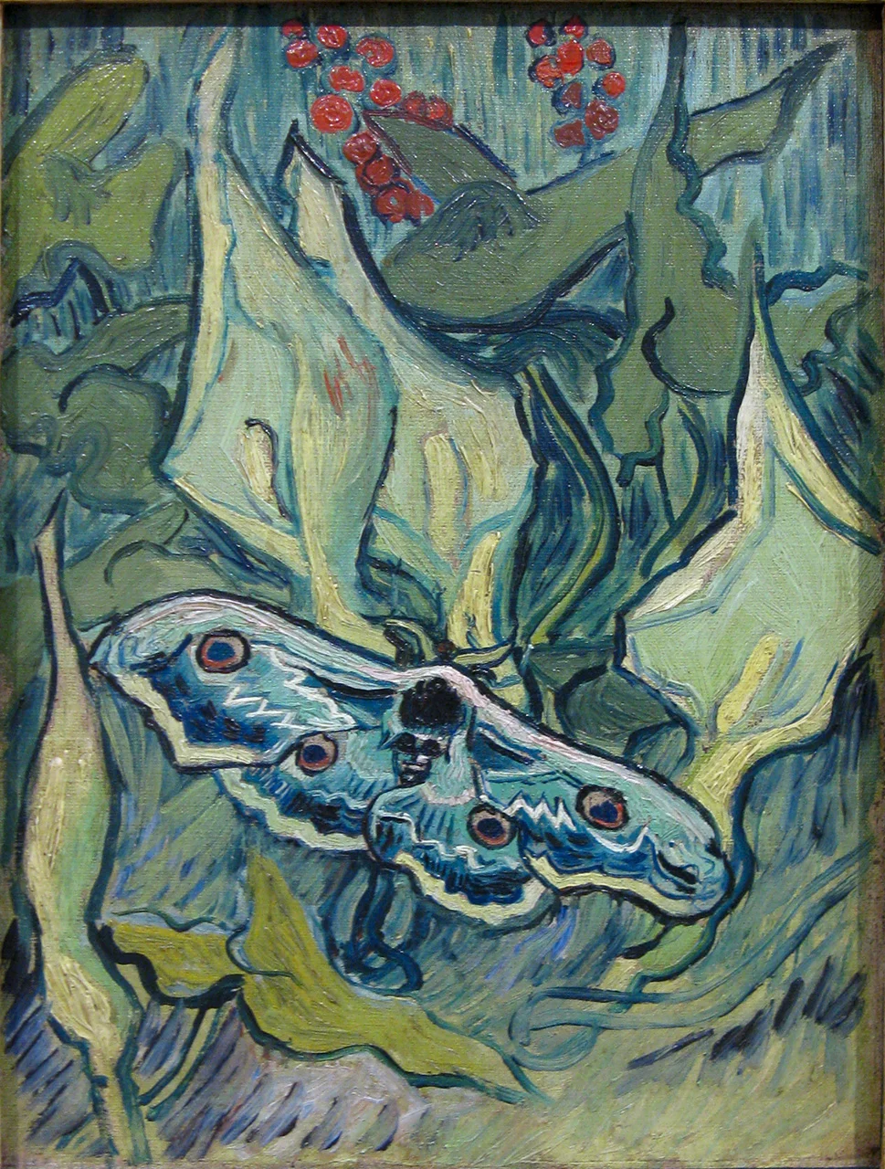Metamorphosis and Rebirth