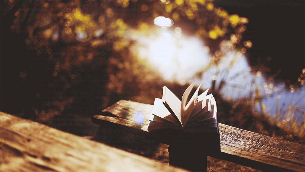 1book5.gif