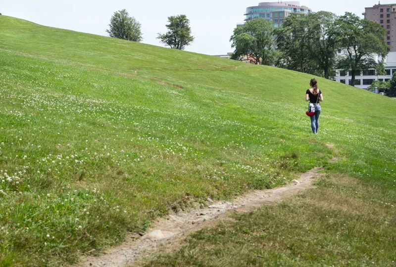 We spent time walking the site to investigate all the pedestrian paths, both formal and informal (this path being the latter).