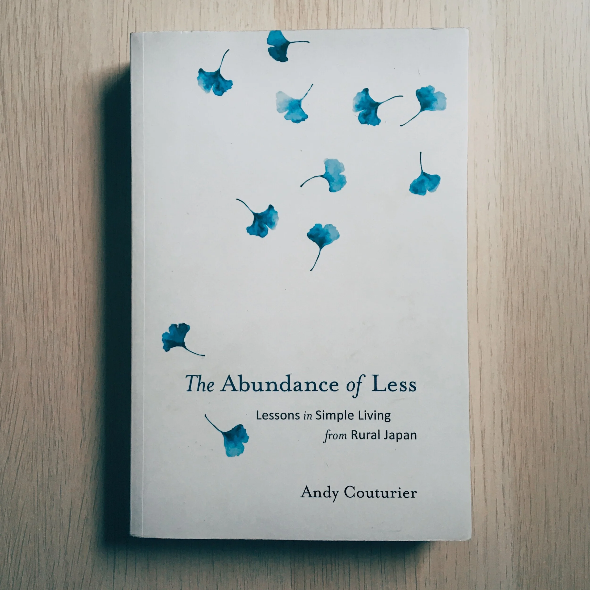 The Abundance of Less by Andy Couturier