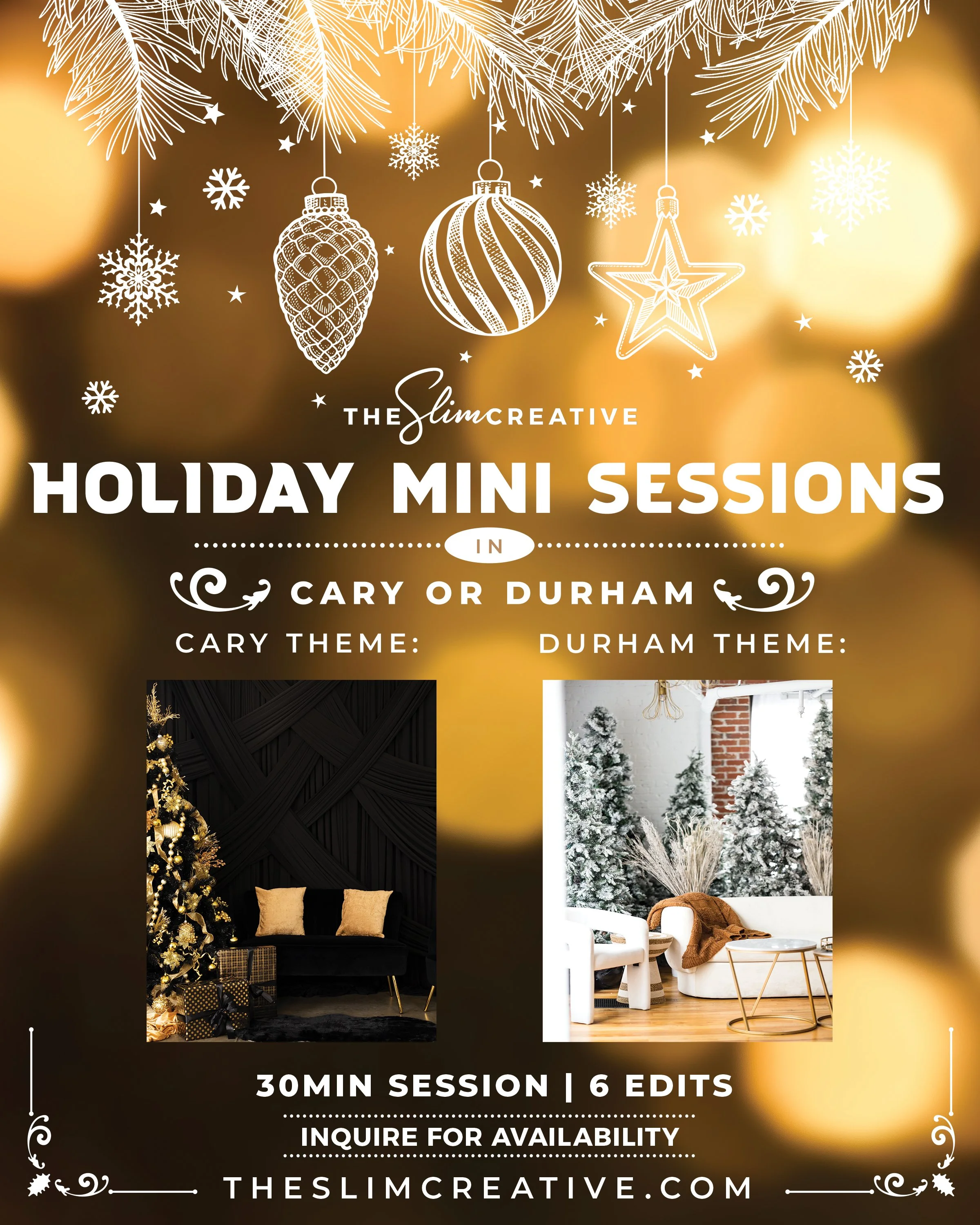 Holiday-Mini-Session-Flyer.jpg