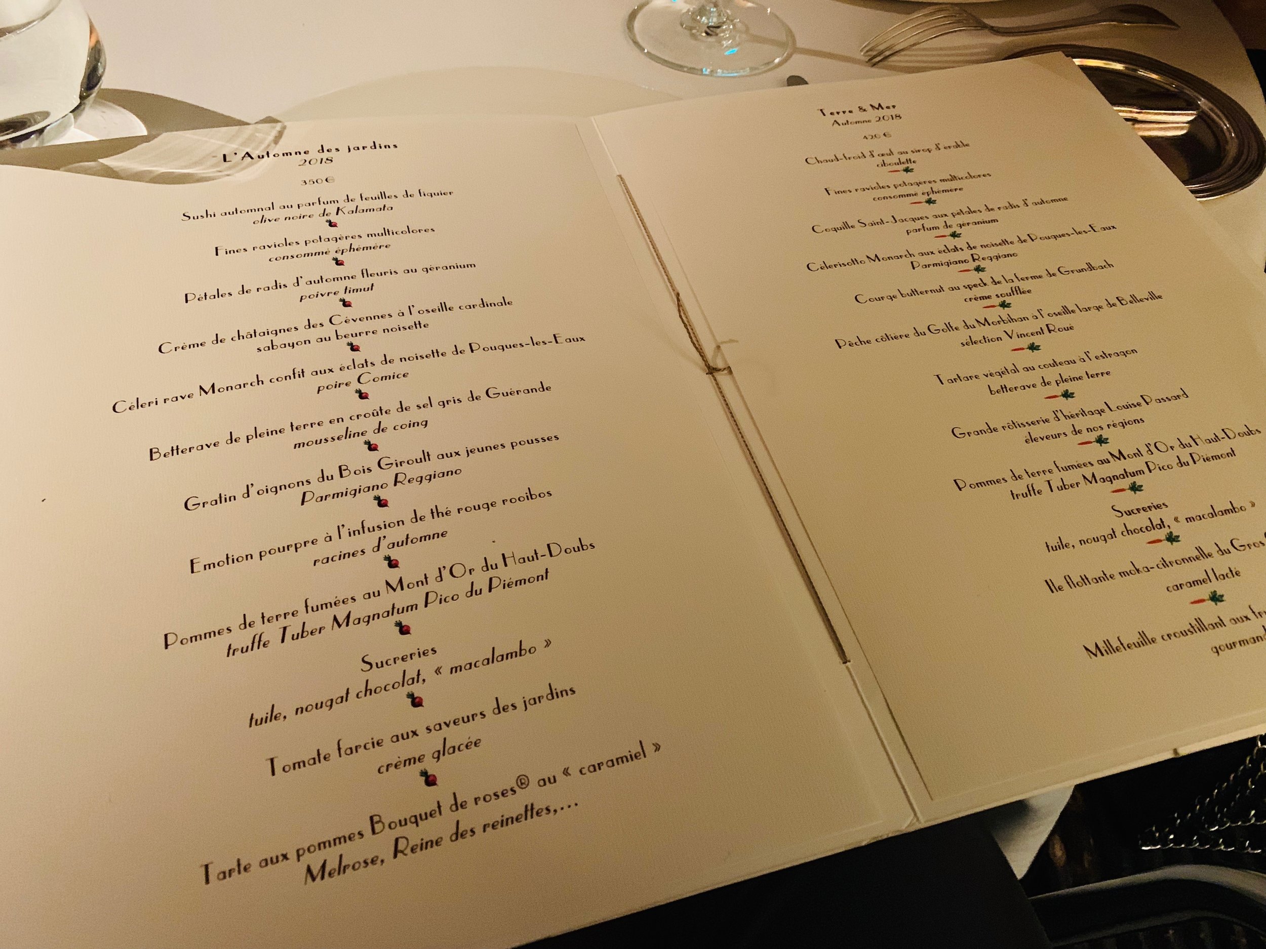 Arpege Paris Yolo Nomad