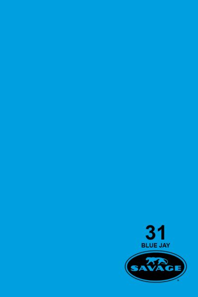 1-bluejayseamlesspaper-update-2-400x600.jpg