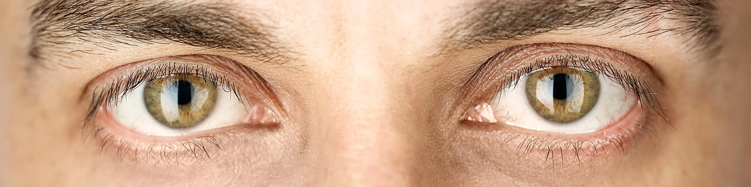 closeup.jpg