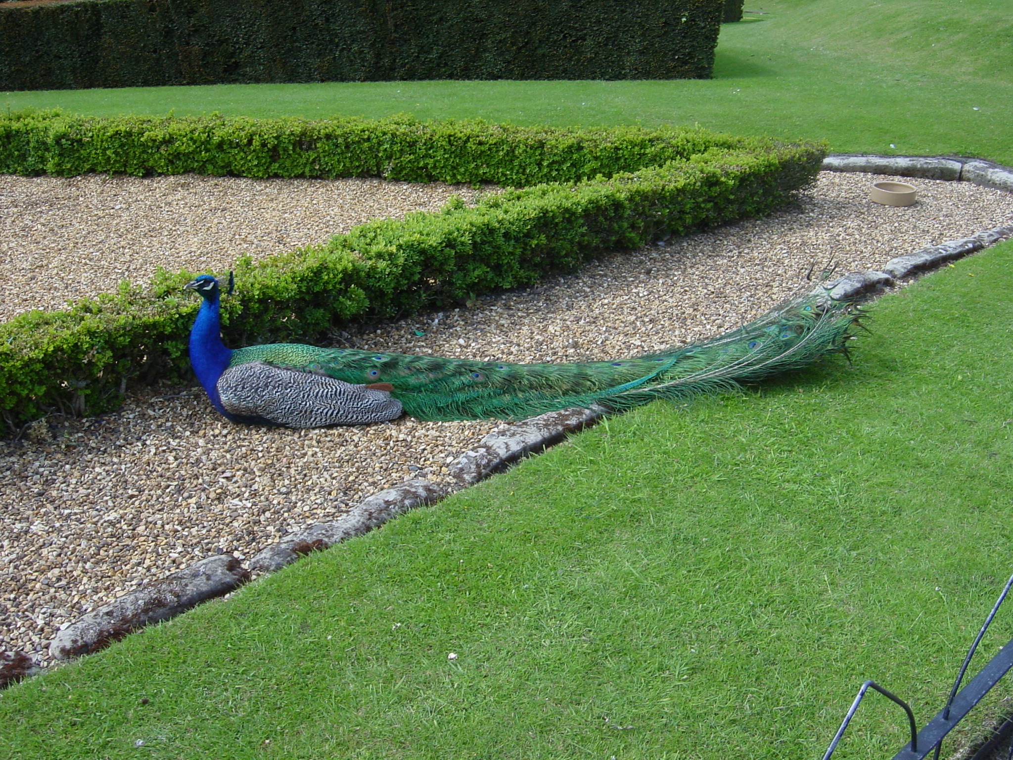 Warwick Castle