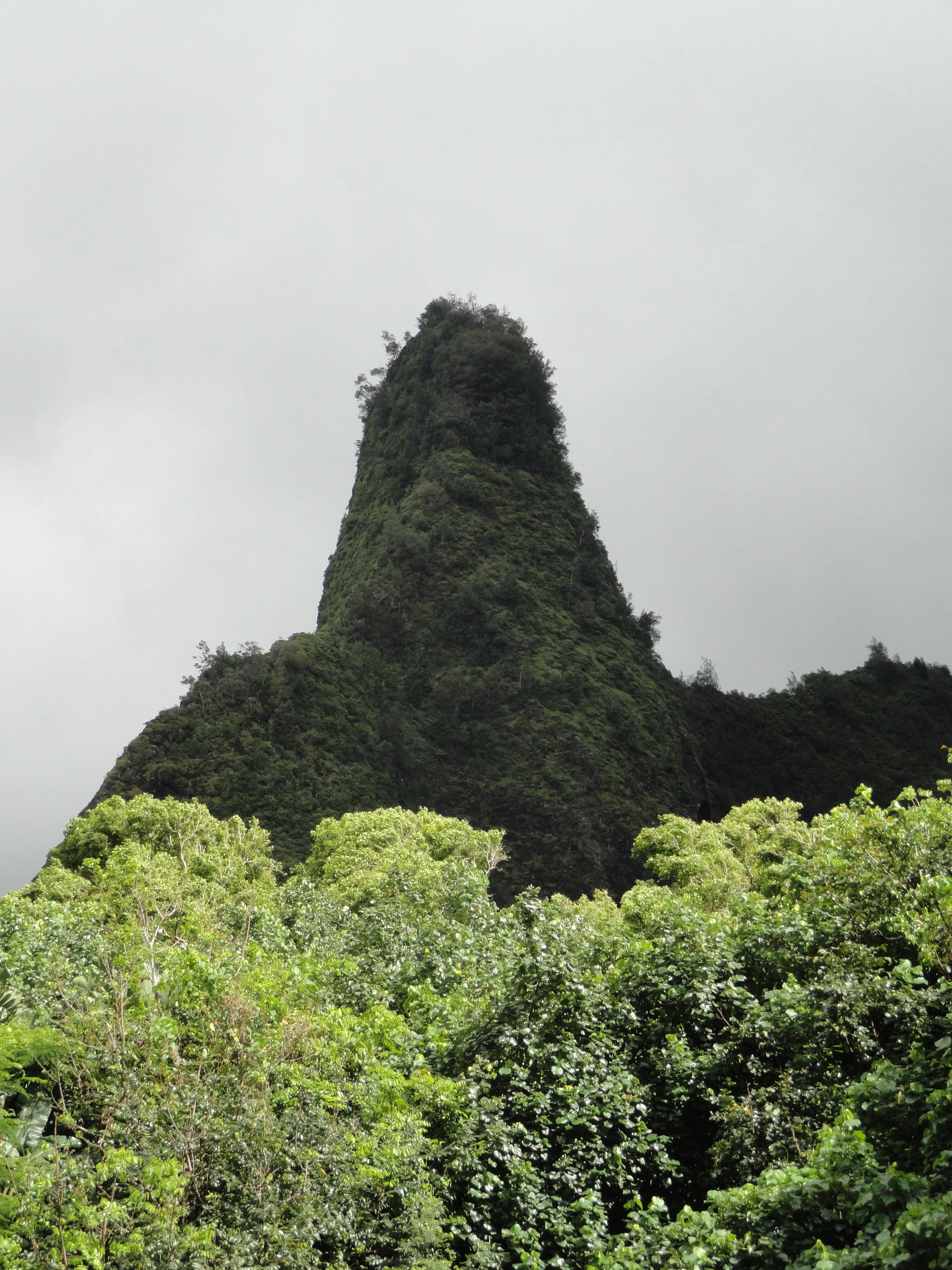 Iao Valley State Monument, Maui