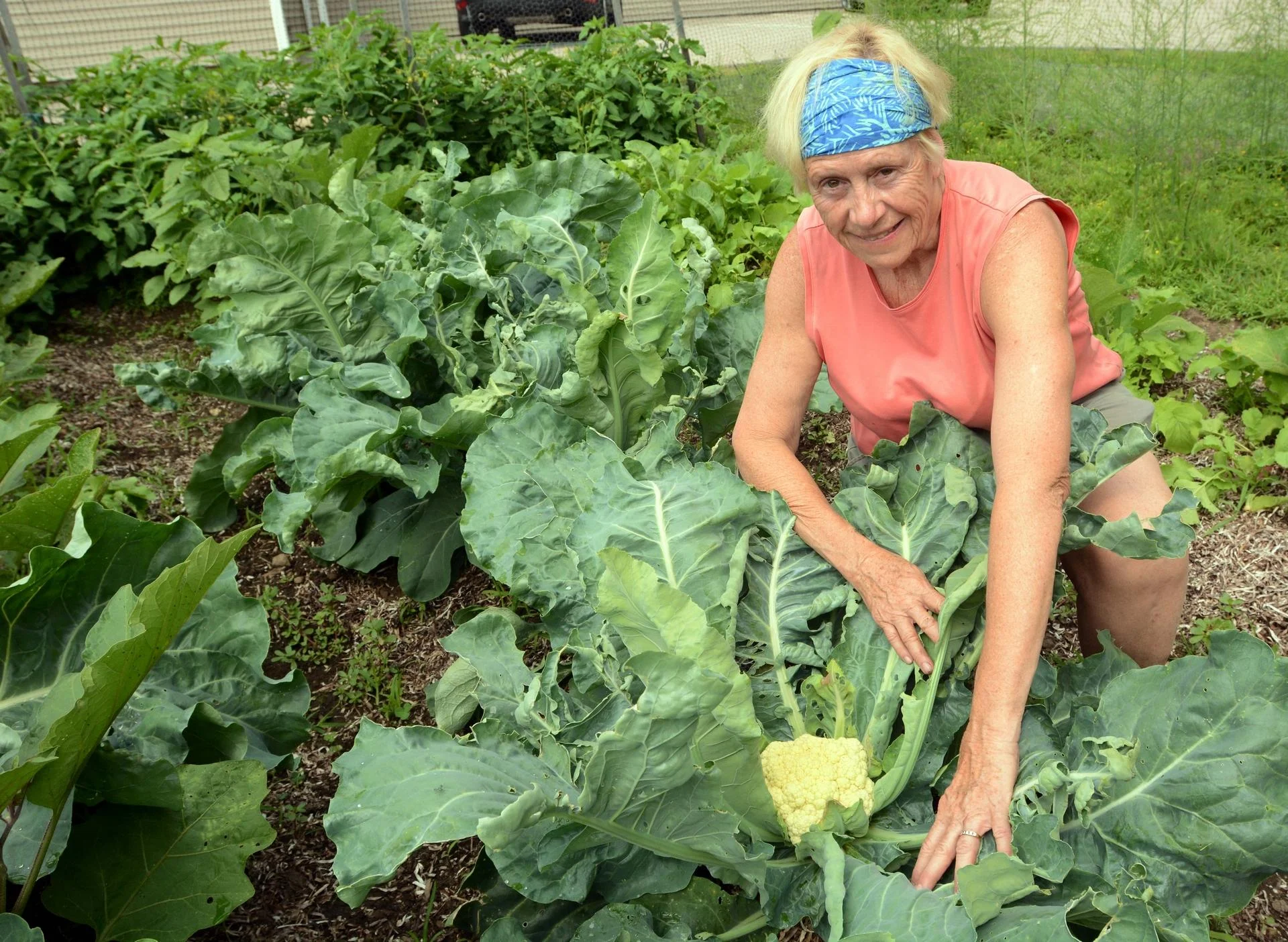 NOrwich Bulletin Colchester GIving Garden.jpg