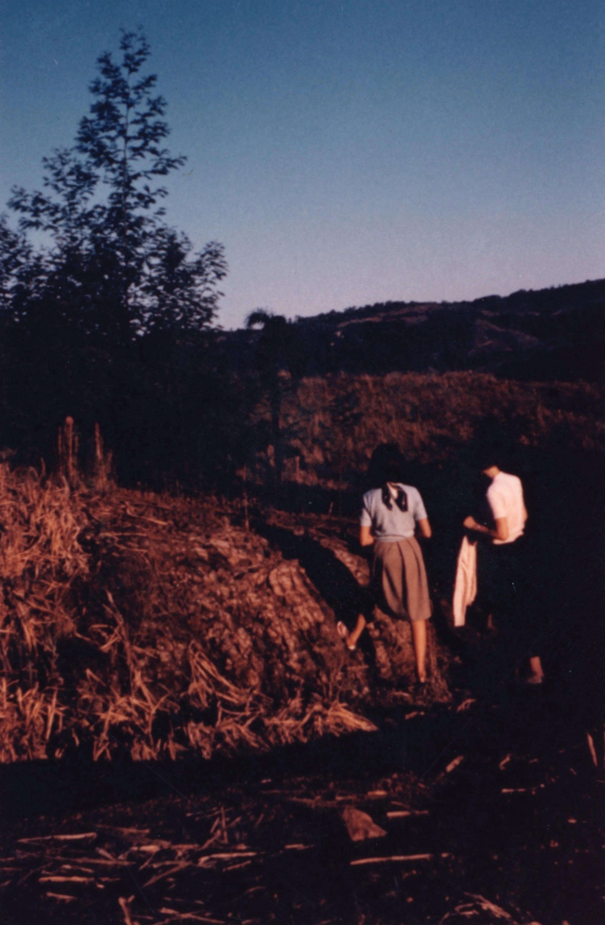 November 1961.jpg