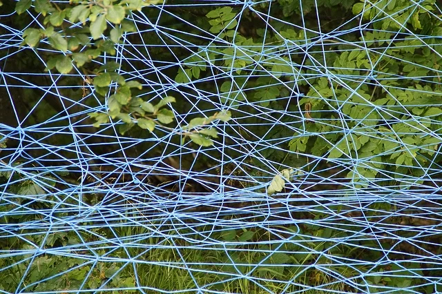 My interests look like these tangled strings...