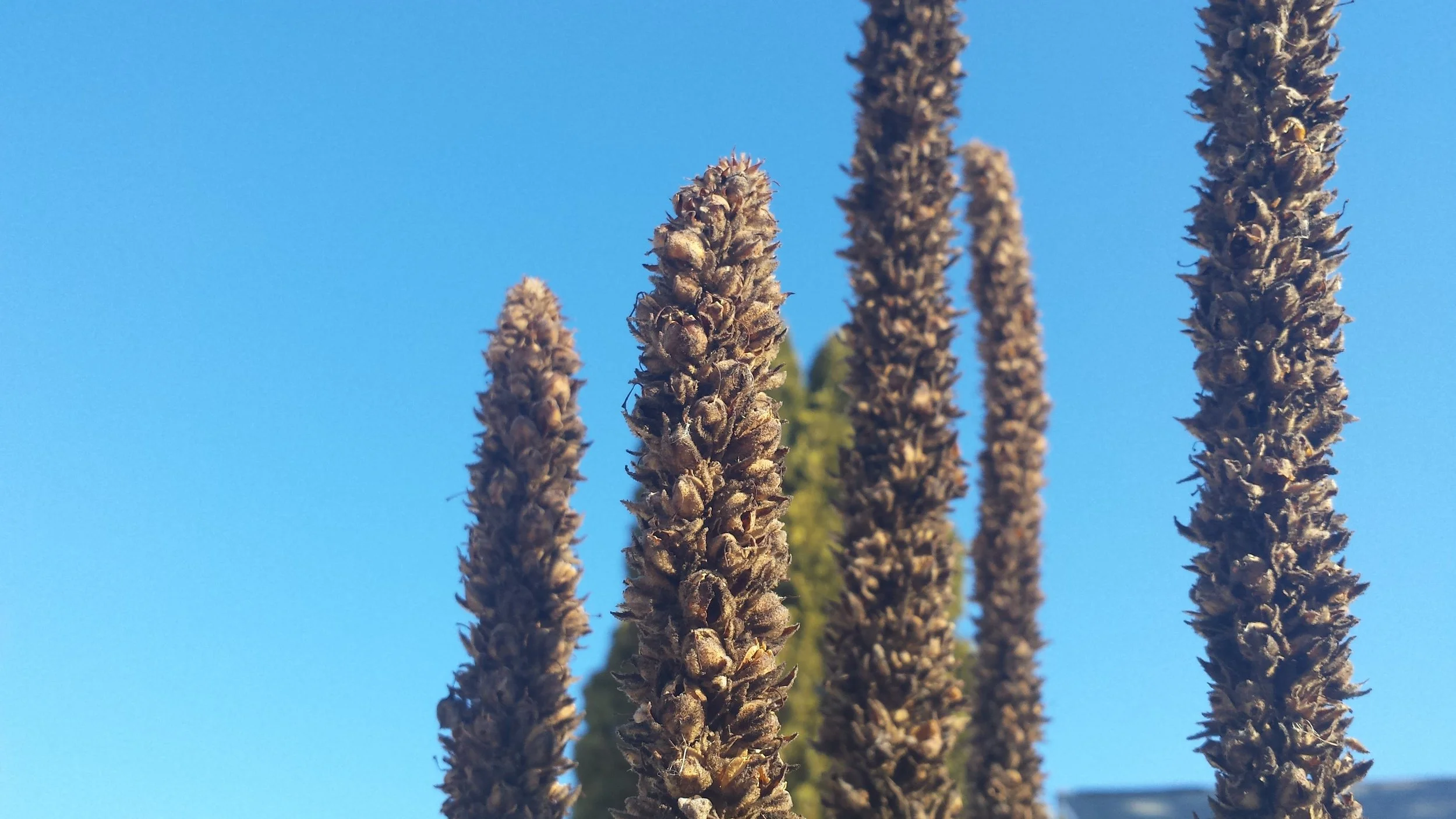 20180315_092922.jpg