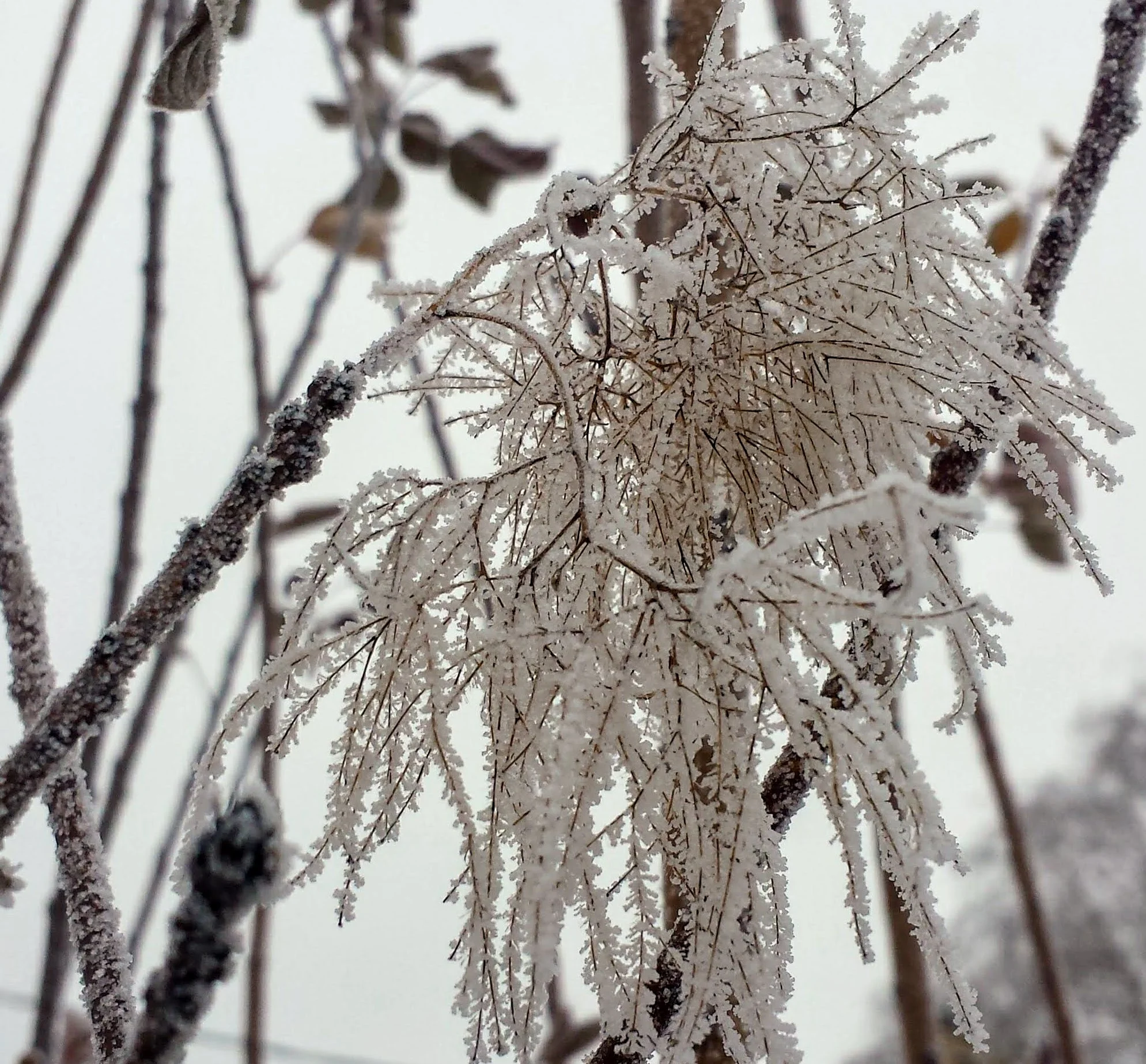 20181210_094443.jpg