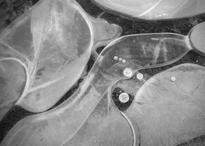 Blue-bubbles-card-BW.jpg