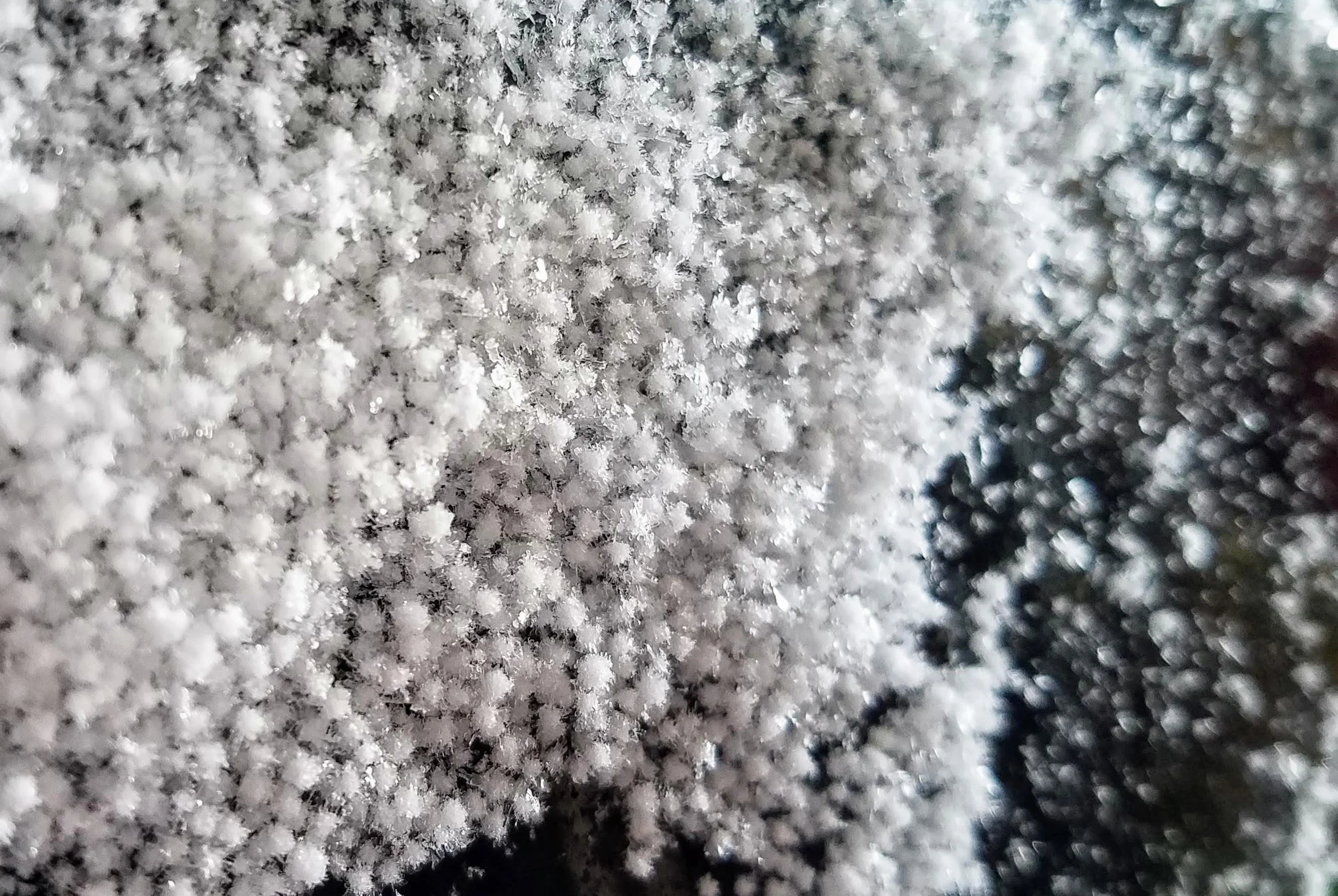 20190207_110458.jpg