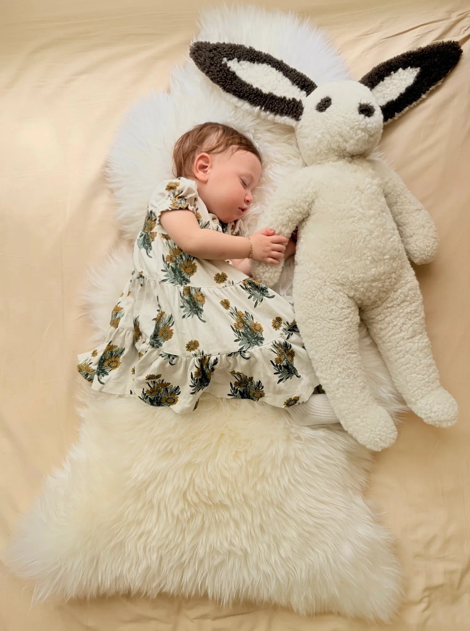 Of Plans &amp; Plushies