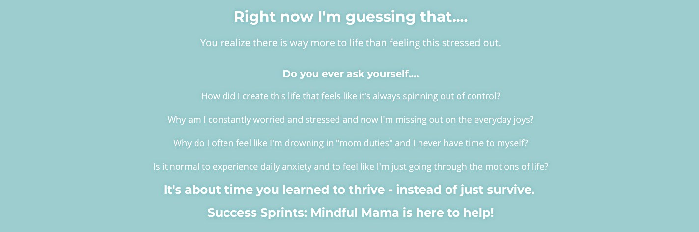 Mindful-Mama-Lisa-Druxman-FIT4MOM.png