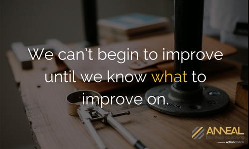 Anneal Business Coaching quote graphic from Martin Holland reading "We can't begin to improve until we know what to improve on.