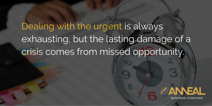 Martin Holland Anneal Business Coaching - Dealing with the urgent is always exhausting, but the lasting damage of a crisis comes from missed opportunity