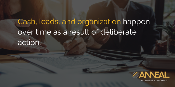 Martin Holland Anneal Business Coaching - Cash, leads, and organization happen over time as a result of deliberate action and strategic business planning